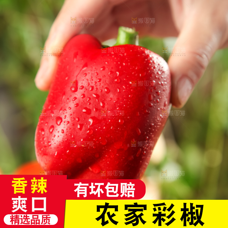 手里拿着新鲜辣椒