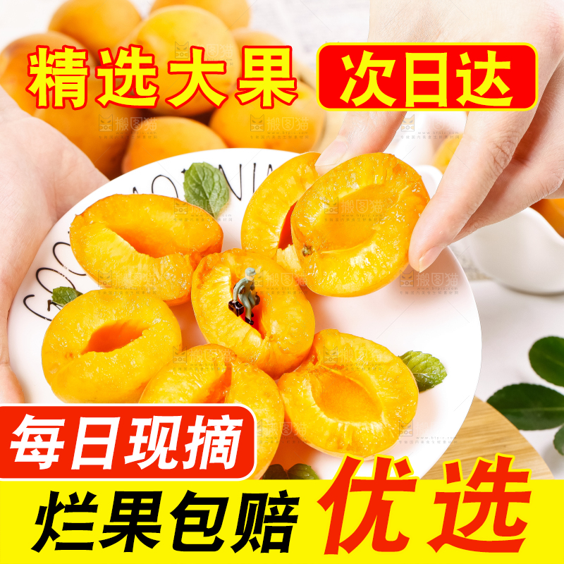 木底上放着新鲜大黄杏