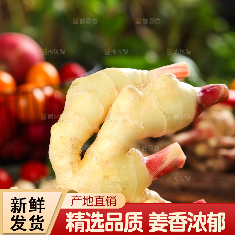 手里拿着嫩姜