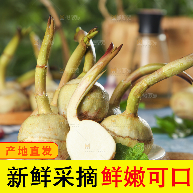 盘子里装着白慈菇