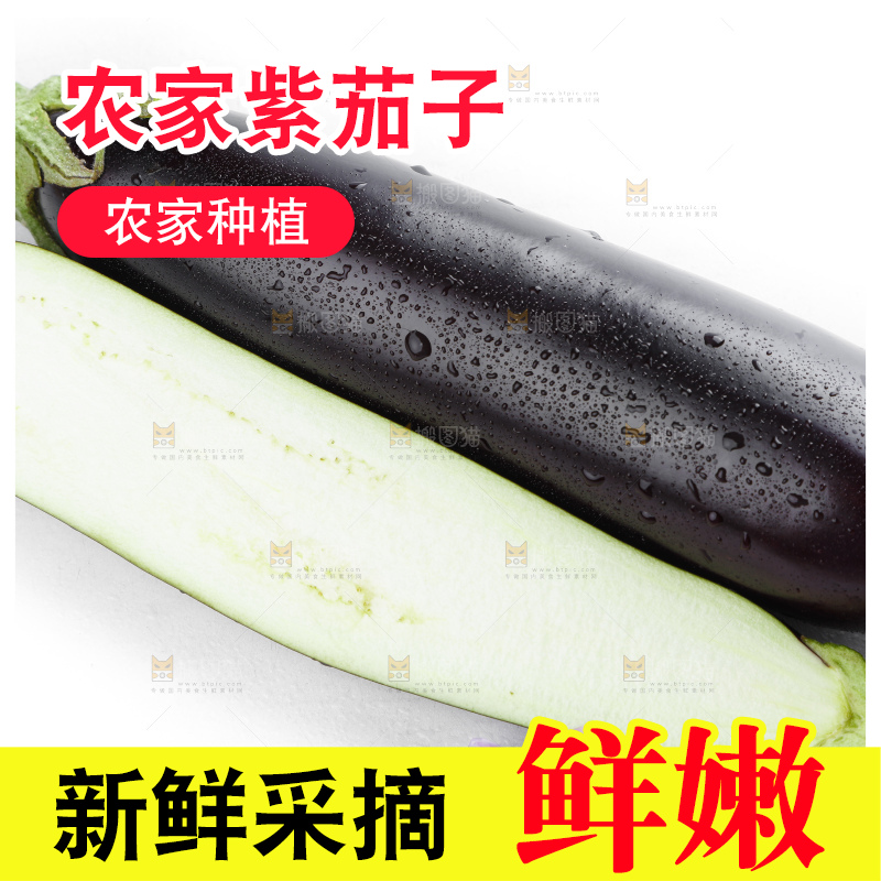 白底上摆放着紫茄子