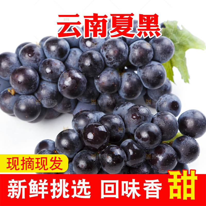 白底上的巨峰葡萄