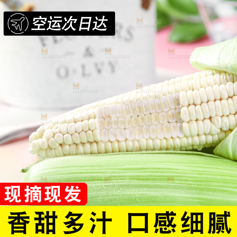 浅底上的牛奶水果玉米
