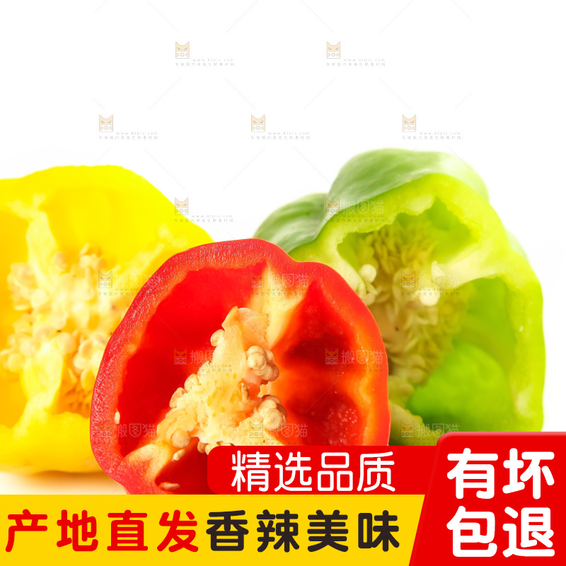 白底上的山东彩椒