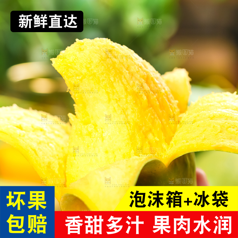 手里拿着芒果
