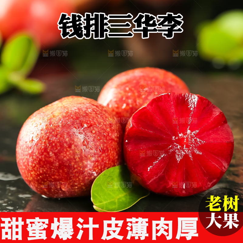 红肉三华李主图