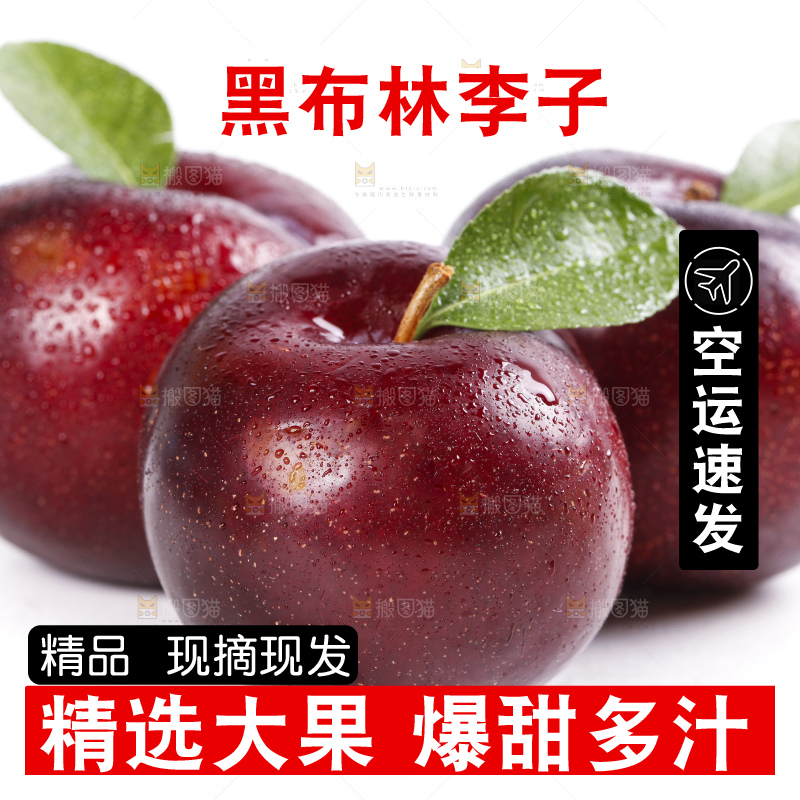白底上放着黑布李