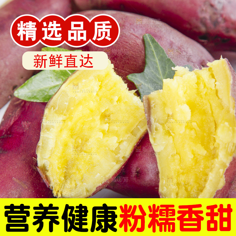 白底上摆放着桥头红薯