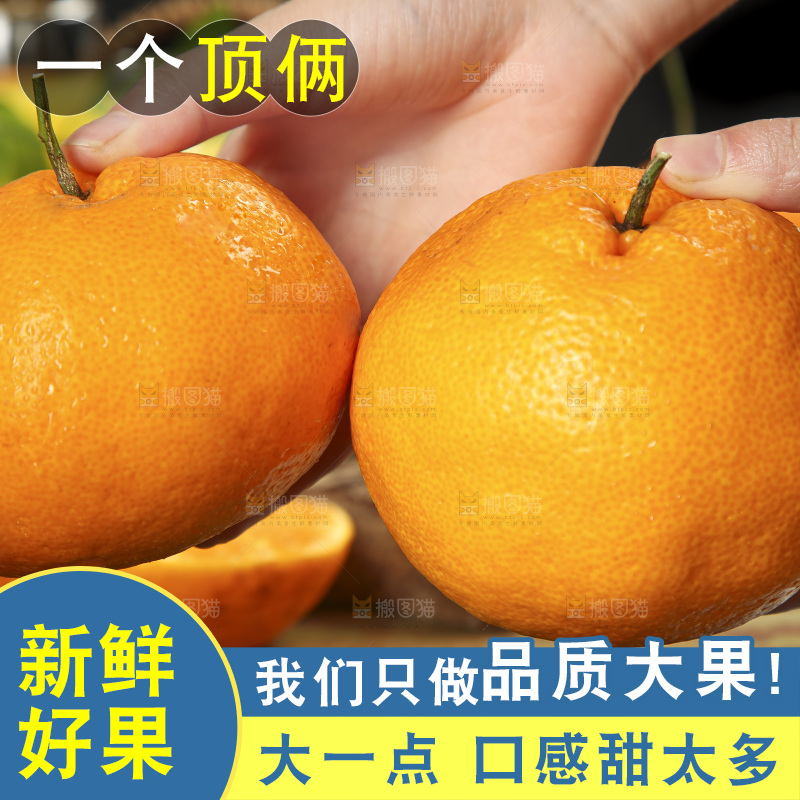 手里拿着四川耙耙柑