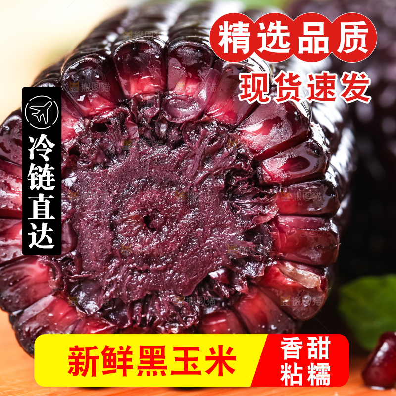 木底上放着山西黑玉米