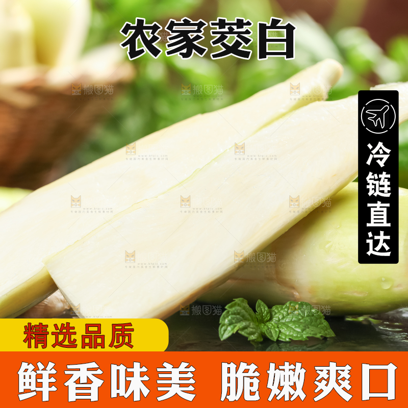 石板上的云南茭白