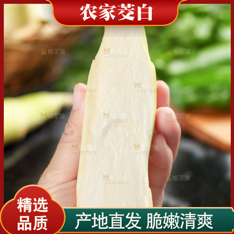 手里拿着湖北新鲜茭白