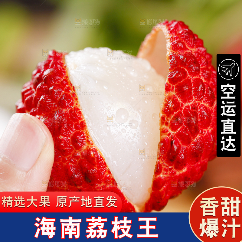 手里拿着新鲜荔枝王
