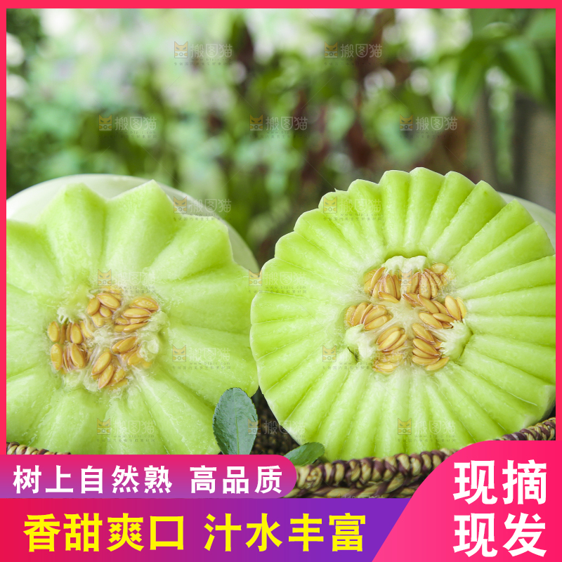 绿草地上放着一篮玉菇香瓜