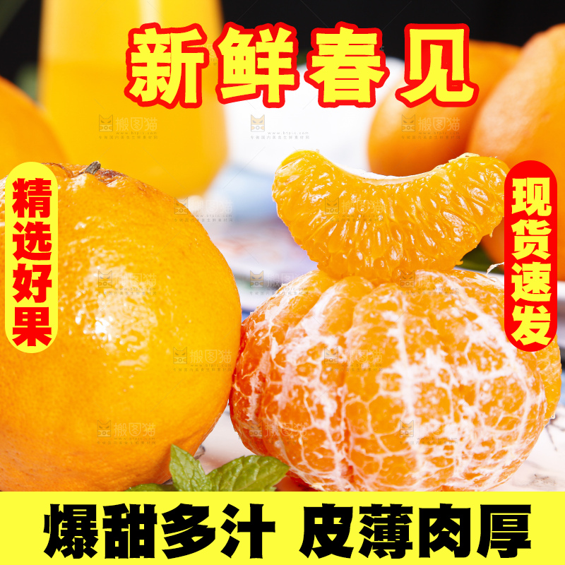 盘里装着四川春见耙耙柑