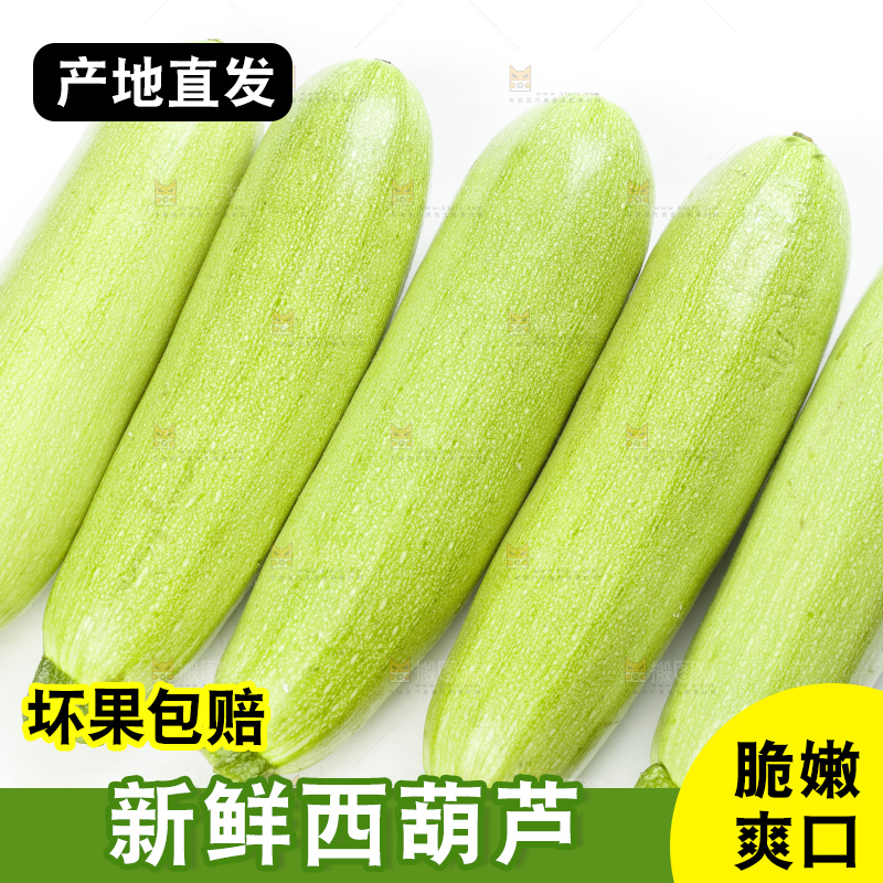 白底上摆放着西葫芦