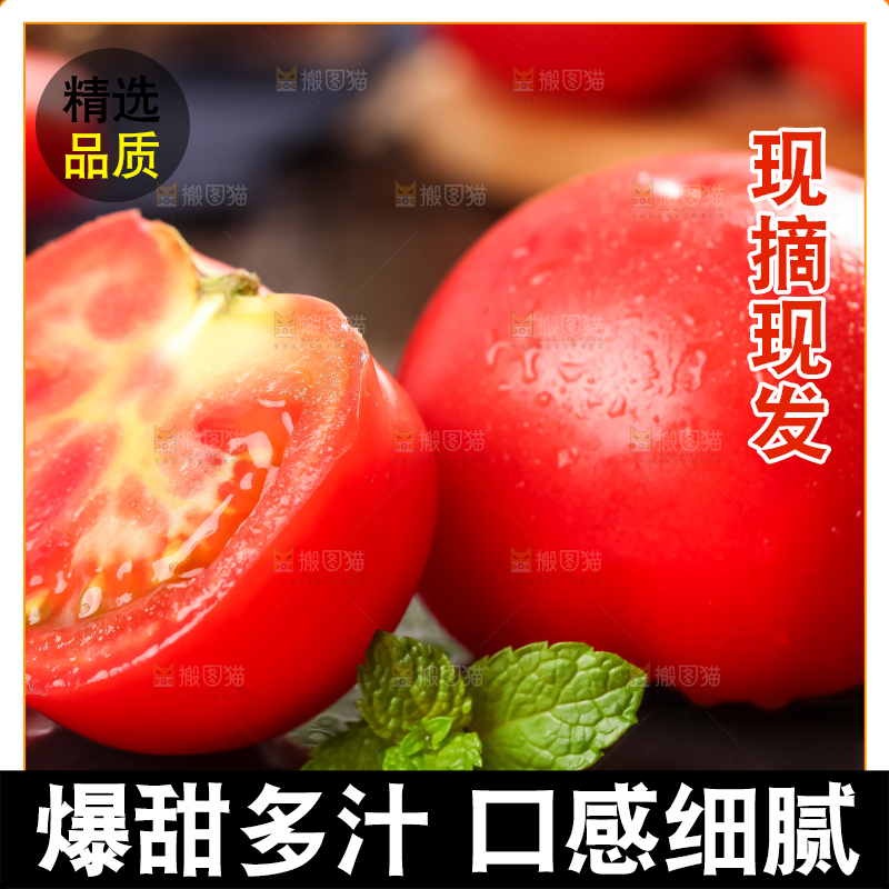 深底上的大番茄