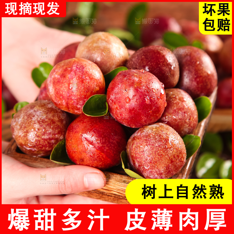 盘子里放着红肉三华李