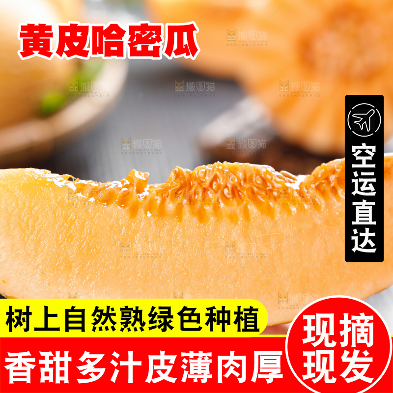 手里拿着黄皮哈密瓜