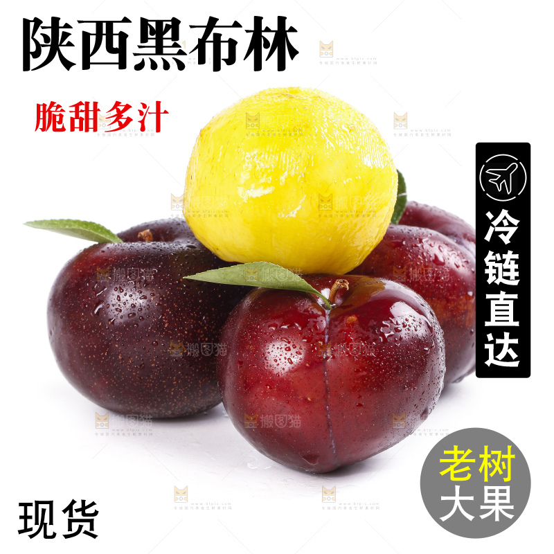 白底上放着智利黑布林李子
