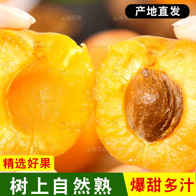 手里拿着黄杏