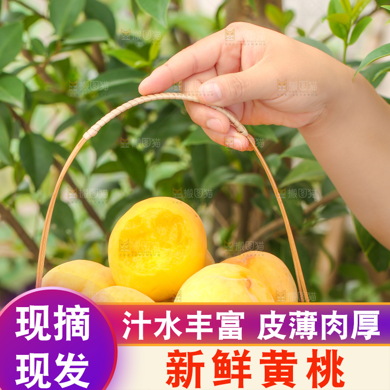 手里拿着黄肉水蜜桃