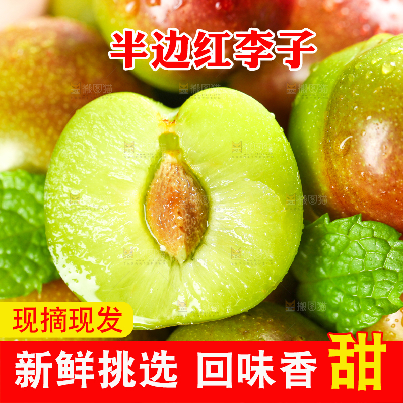 手里拿着脆红李