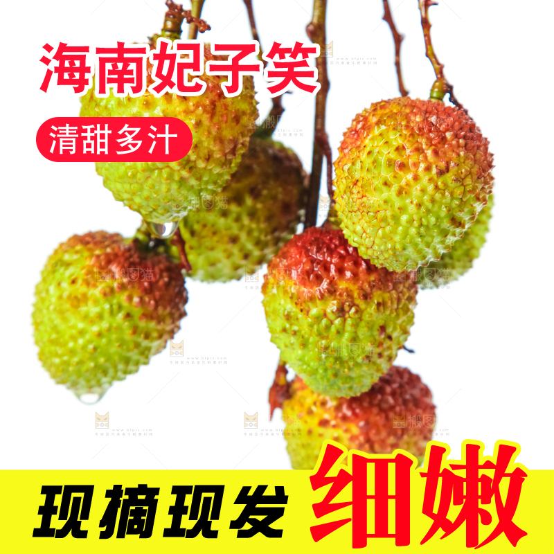 手里拿着妃子笑荔枝