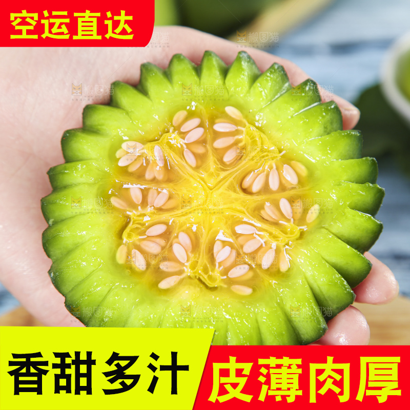 手里拿着绿宝甜瓜