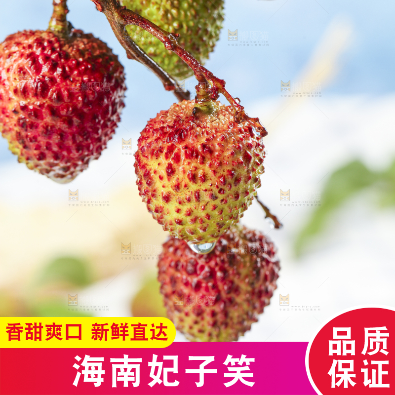 浅底上摆放着妃子笑荔枝
