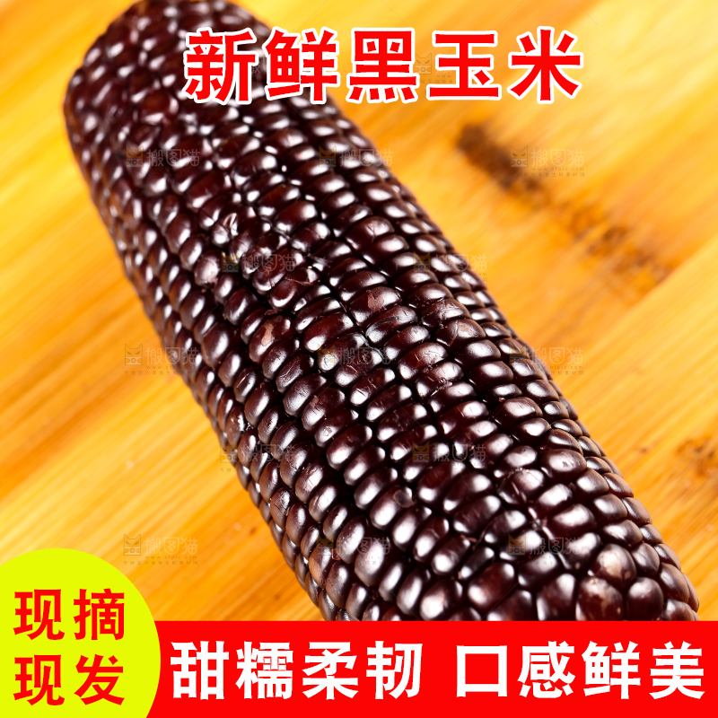 木板上摆放着紫玉米