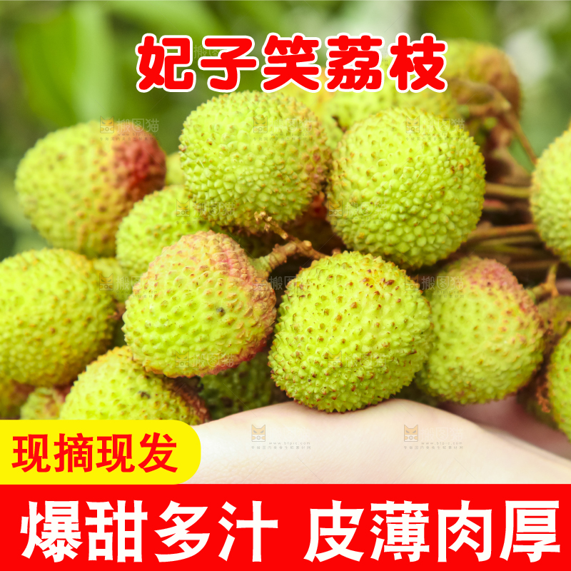 手里拿着妃子笑荔枝