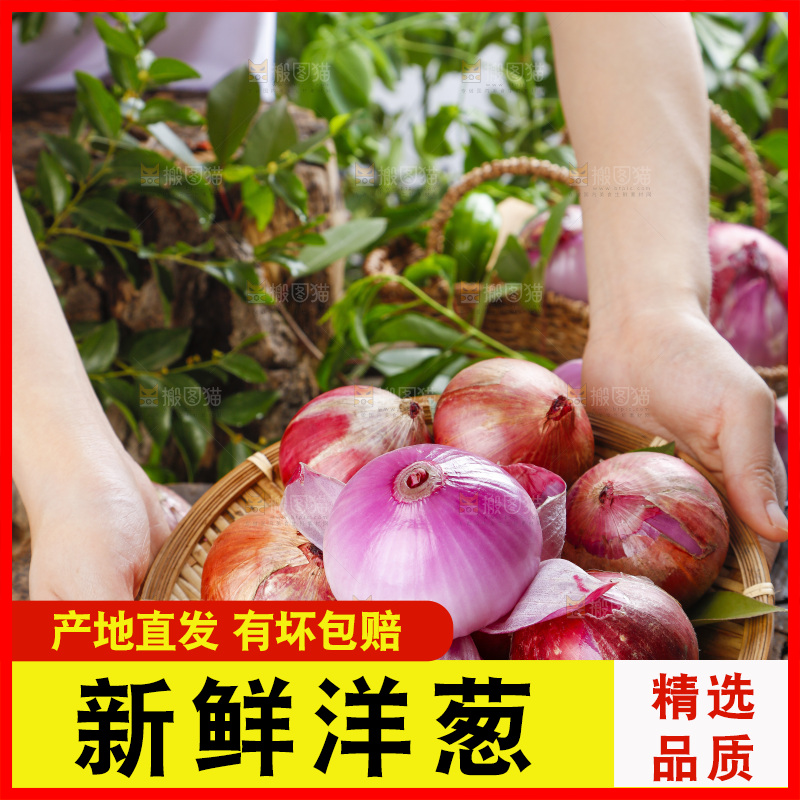 手上拿着皮洋葱