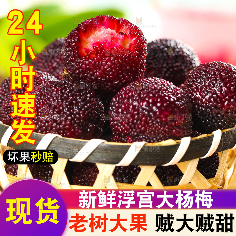 篮子里装着高山大杨梅