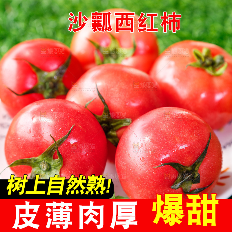 草地上的一堆新鲜西红柿