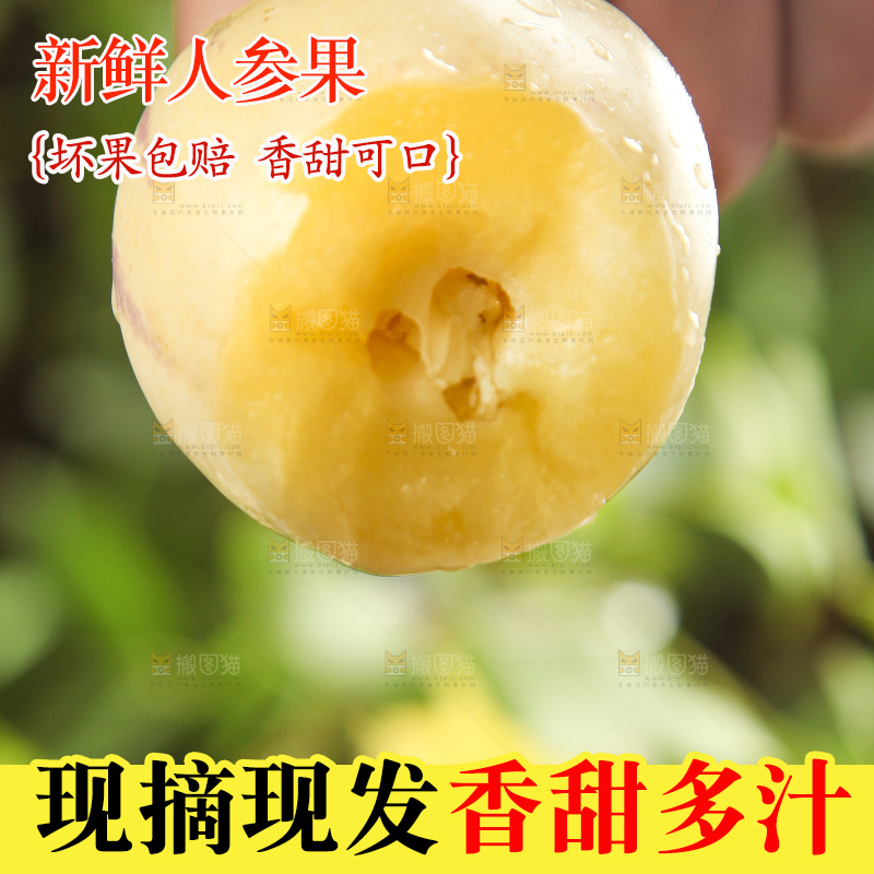 手里拿着人参圆果