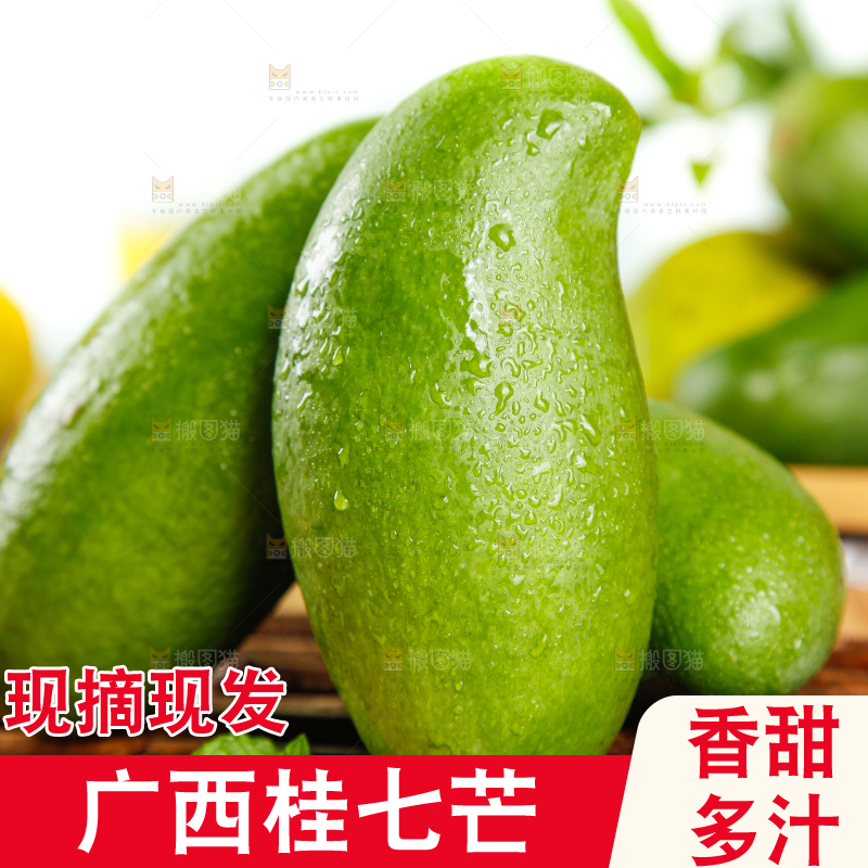竹底上的青皮桂七芒