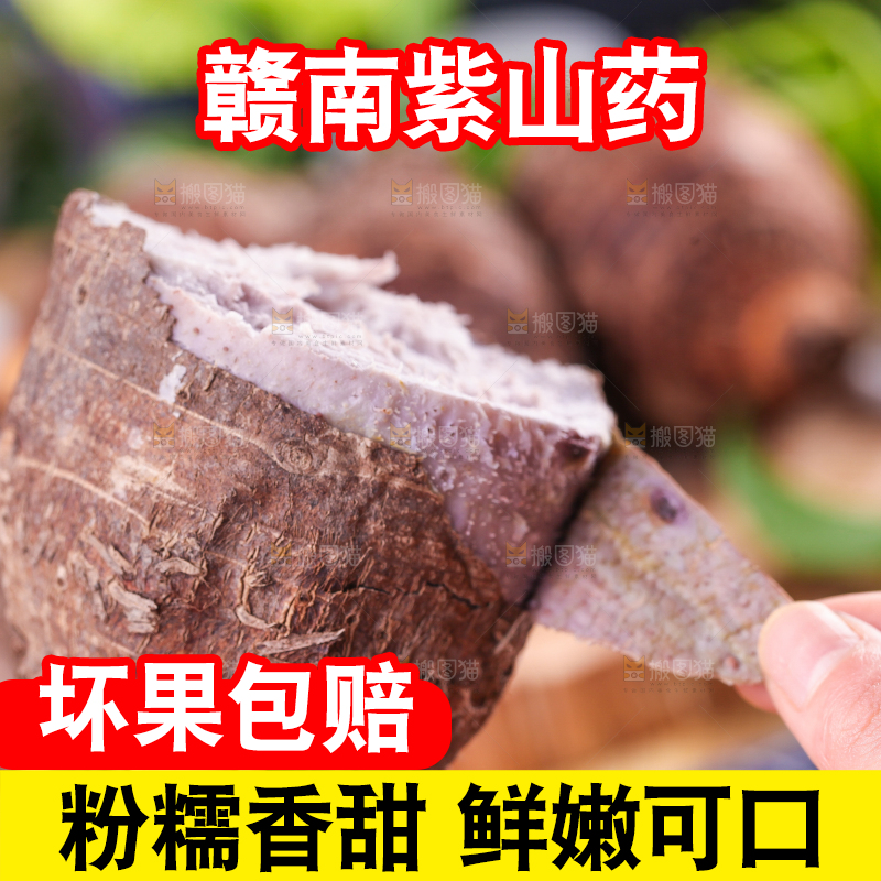 手里拿着紫藤芋头