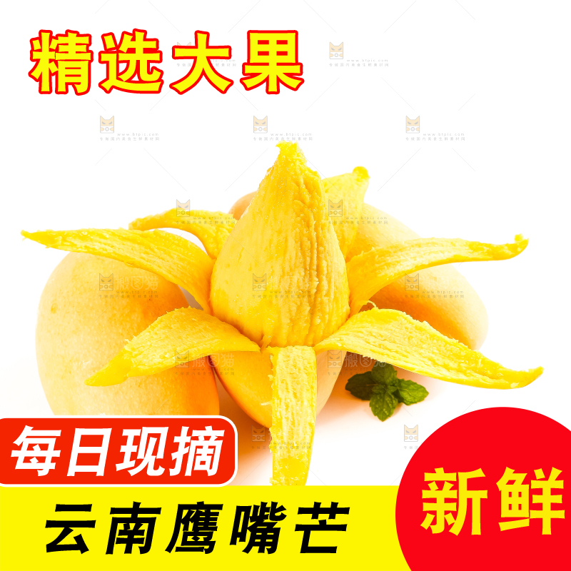 白底上放着云南鹰嘴芒