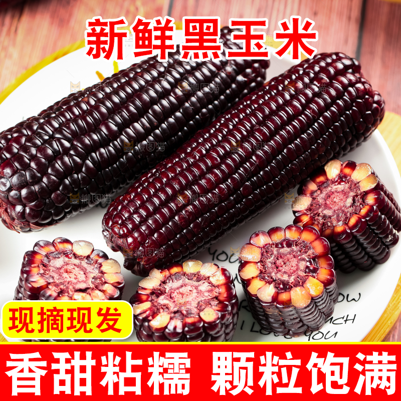 盘子里装着紫玉米