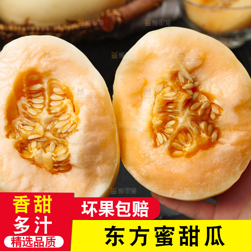 手里拿着东方蜜甜瓜