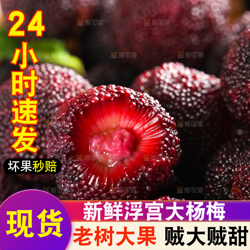 篮子里装着野生杨梅