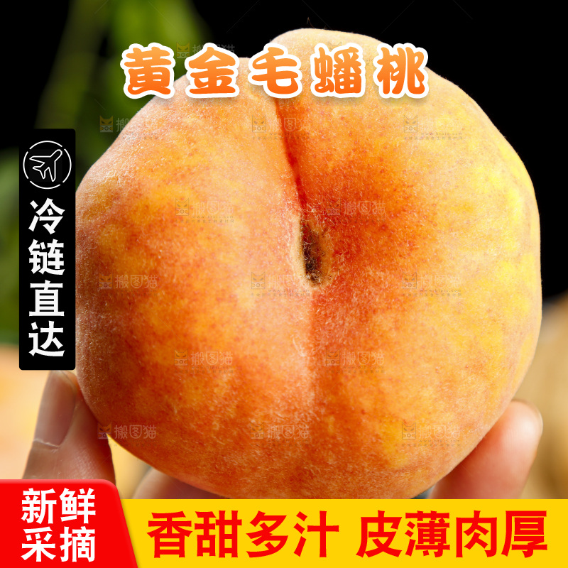 手里拿着陕西毛蟠桃