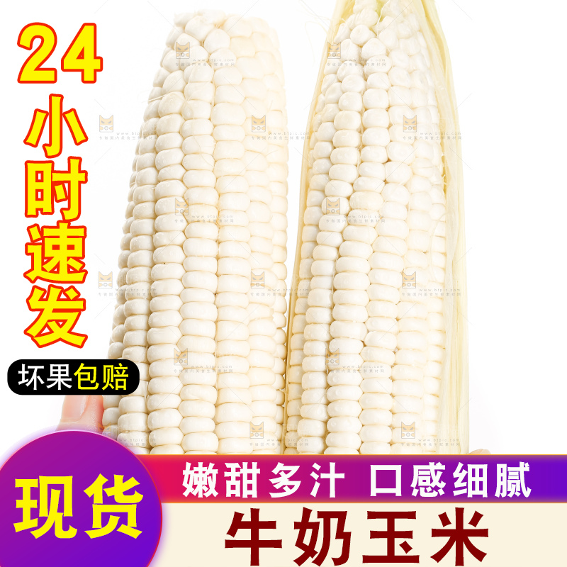 手里拿着白玉米