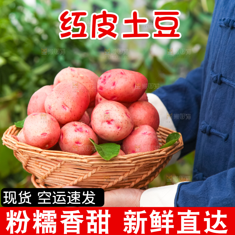 手里捧着一篮土豆