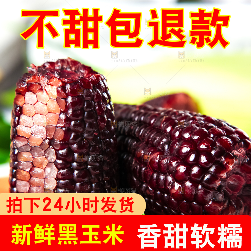 木底上放着东北黑玉米