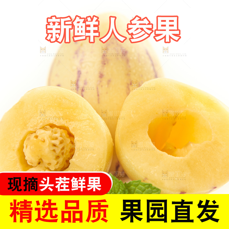 白底上摆放着沙漠人参果