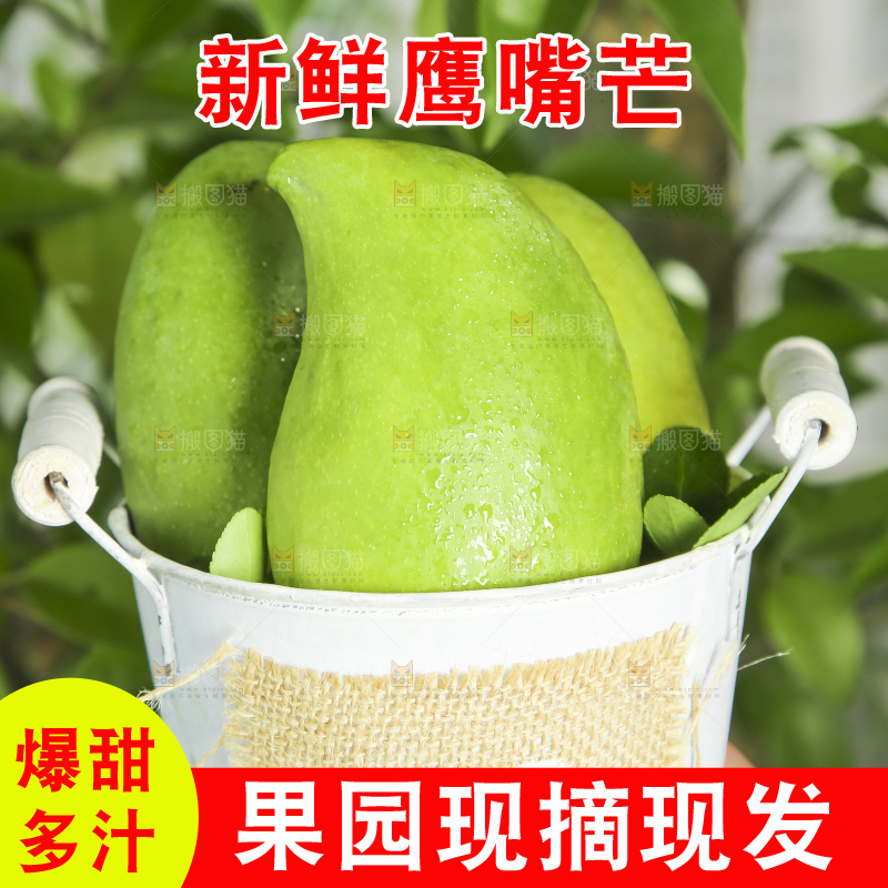 小桶里装着芒果