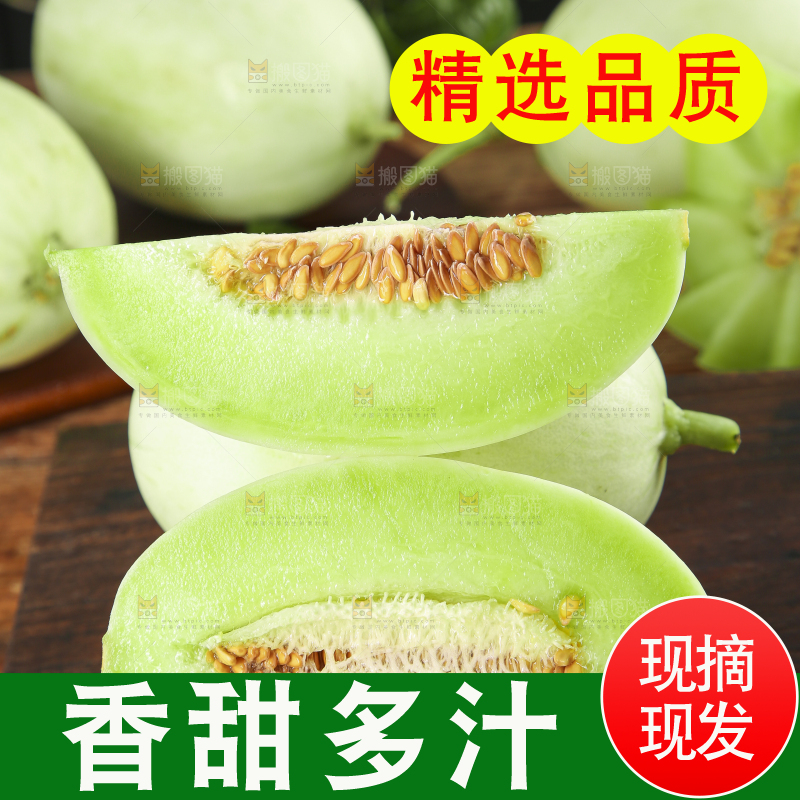 深底上摆放着山东玉菇甜瓜