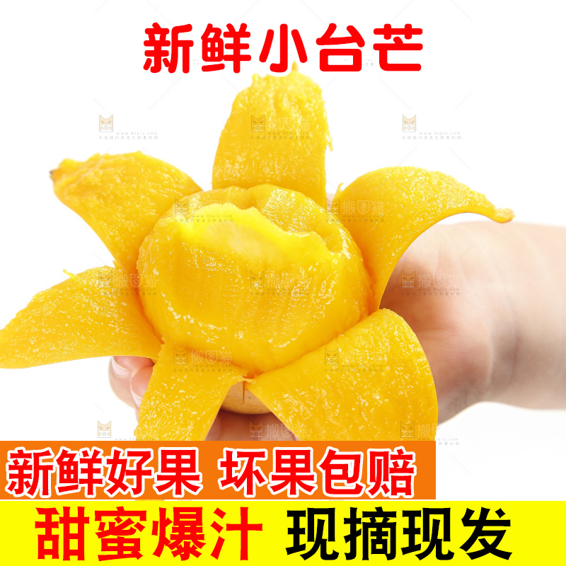 手里拿着小台农芒果肉